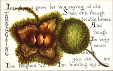 Antique Postcard Thanksgiving Seed Pods Bursting Laugh Grow Fat FA Owen Co 1910