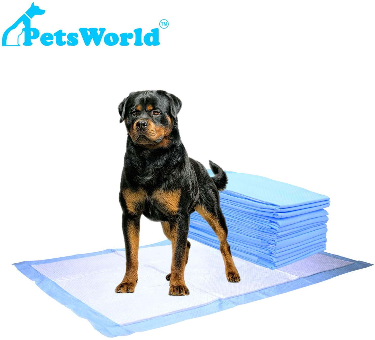 Economy Value Dog Puppy Training & Potty Pads (23x36 inch) 300 Count
