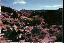 Petrified Forest National Park Arizona Painted Desert 2004 Postcard