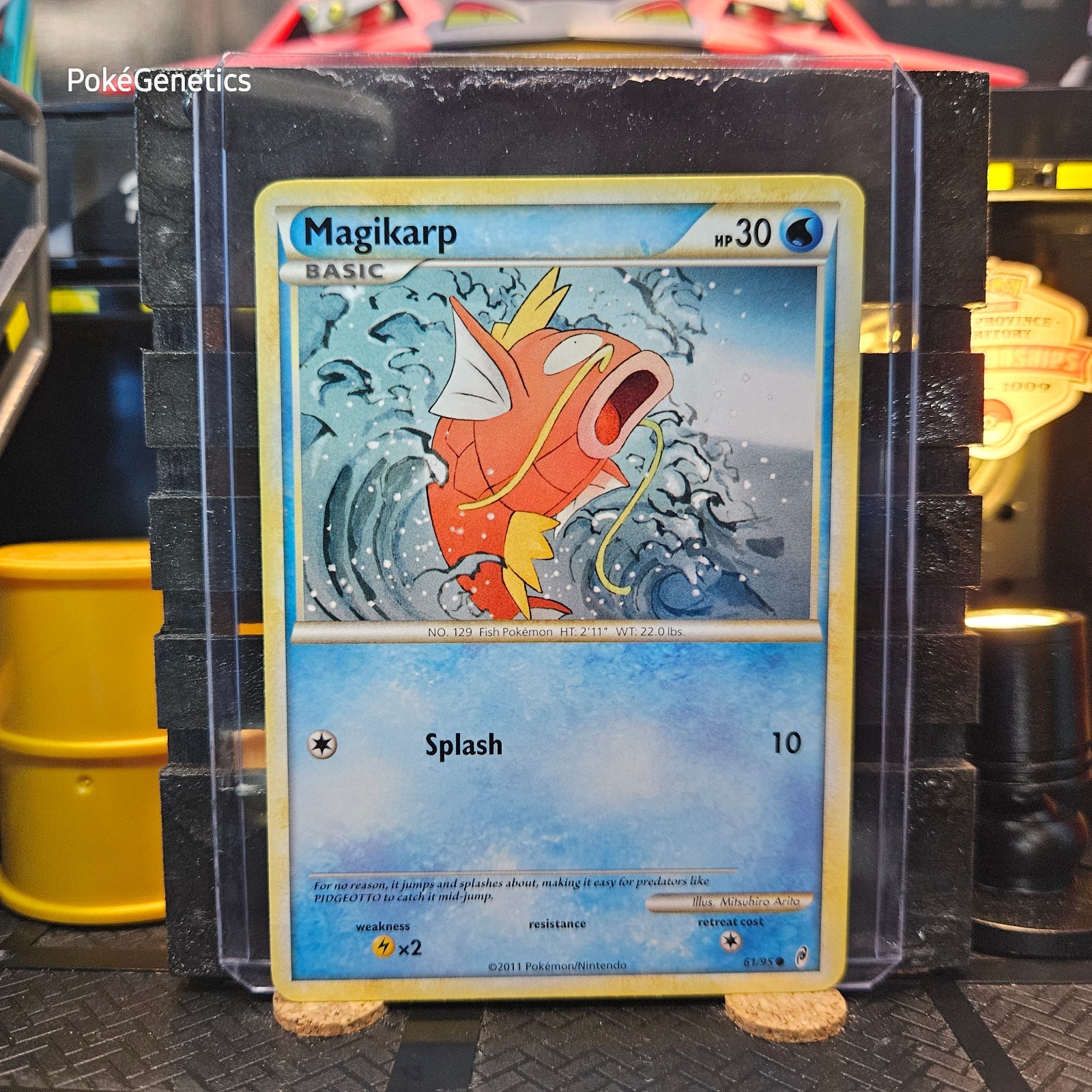 Magikarp Call of Legends Pokémon TCG 61/95 Common