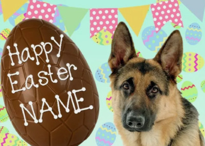Deutscher Schäferhund Frohe Ostern personalisierte Grußkarte A5 Schokoladenei EE30