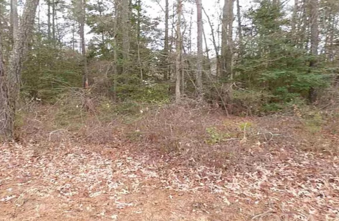 ARROWHEAD BEACH NC Corner Lot HISTORIC EDENTON NC BID FOR