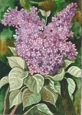 ACEO PRINT OF WATERCOLOR PAINTING RYTA SPRING LILAC FLOWER VINTAGE STYLE Art