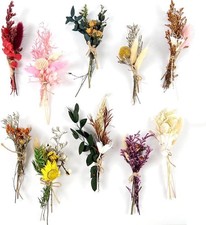 10Pcs Mini Dried Flowers Bouquet, Boho Mixed Natural White Series
