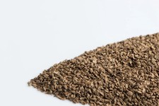 ORGANIC Edible Carrot Seeds Gajar K Beej Indian herb WHOLE