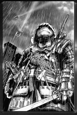 TMNT: The Last Ronin #2  The Nerd Store / Hive Comics B (Stan Yak)