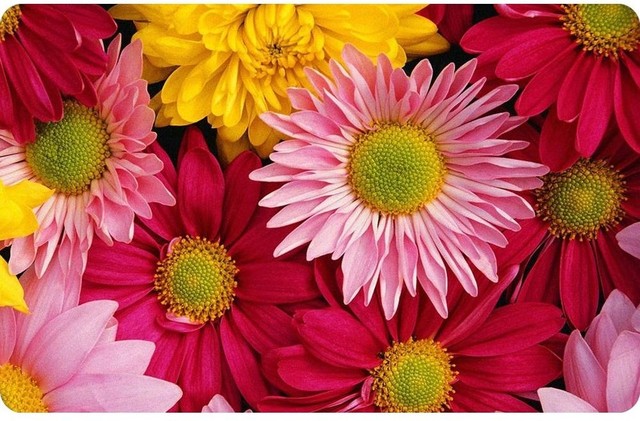 Microfibres Quasar Swirl Kitchen Rug 23 X 36 For Sale Online