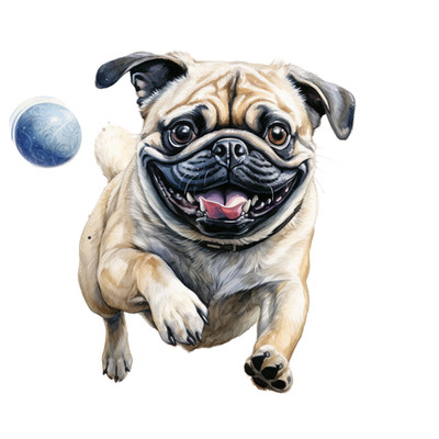 1art1 Adesivo Con Testa Di Cane Carlino, Formato 9x9 Cm, Qualità Da Collezione - 4