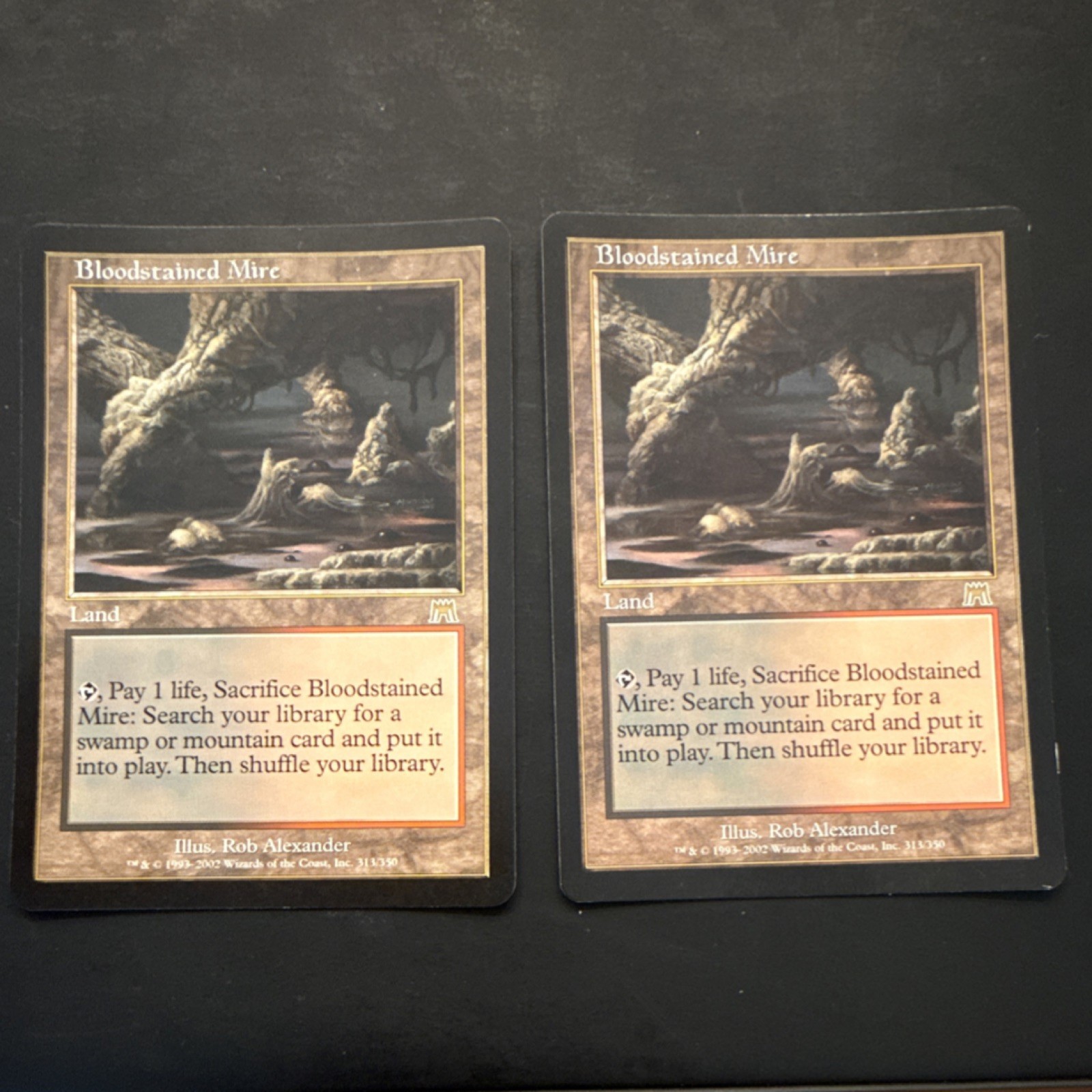 MTG Onslaught Bloodstained Mire 2 copies 2002 Land Cards English Rob  Art