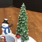 Picture 8 of 20