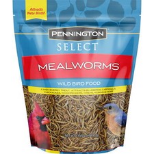 Pennington Select Mealworms, Bluebird and Wild Bird Food,