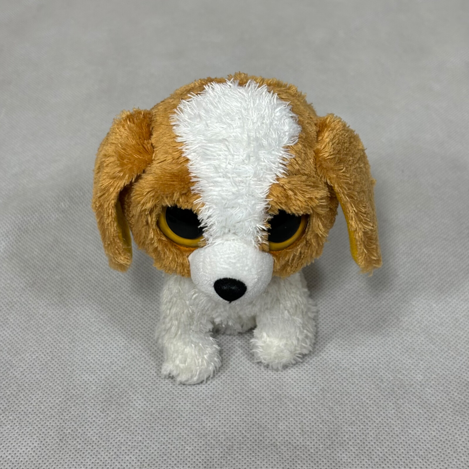 Picture 6 of 19