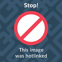 BHS Custom Oil Skin Puppy Coat