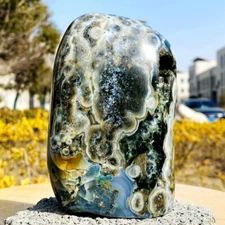 2.57LB Top natural Marine jasper quartz crystal free form mineral specimen