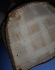 Bild 8 von 12