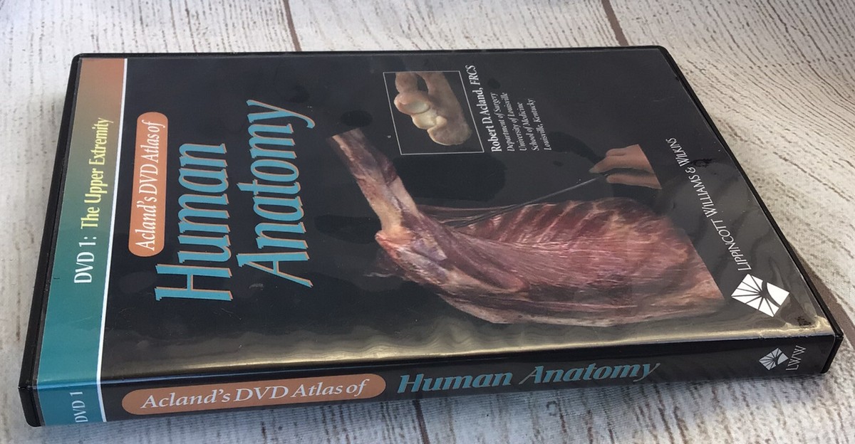 Human Anatomy Disc 1 The Upper Extremity by Robert Acland 2003 DVD 