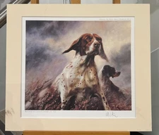 Mick Cawston - Pointer - Mounted (In Stock)