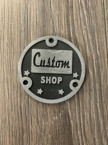 Custom Single Cut Electric Guitar Toggle Switch Back Cover Fits Gibson Epiphone