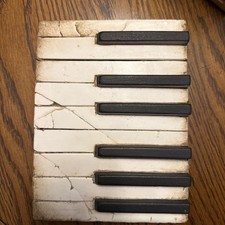 Sid Dickens Memory Blocks T-45 Piano Keys Wal...