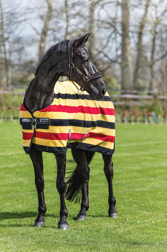 Horseware Rambo Deluxe Fleece Cooler Newmarket Stripe Wick Witney Rug Gold/Navy - Picture 9 of 10