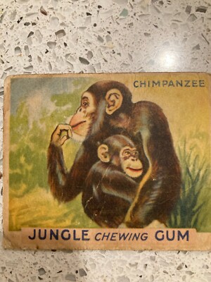 Jungle Chewing Gum card #4 Chimpanzee, World Wide Gum Company