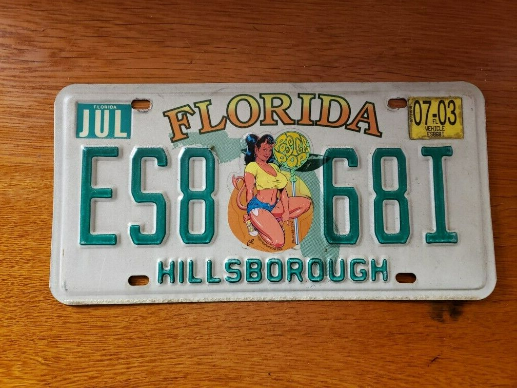 Vintage Florida license plate with Orange, Hillsborough County 1 eBay