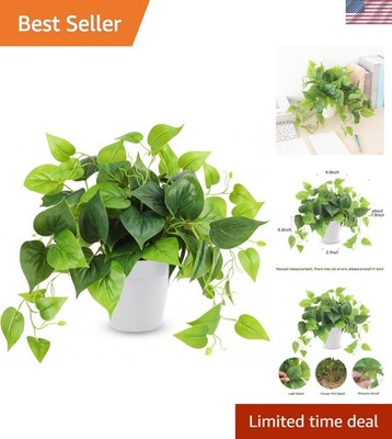 Beautiful Scindapsus Aureus Plant in 8in White Pot - Indoor/Outdoor Greenery