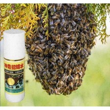 Outil de Ruche Secret D'apiculture D'appât D'appât de Leurre D'essaim