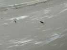 Bild 7 von 11