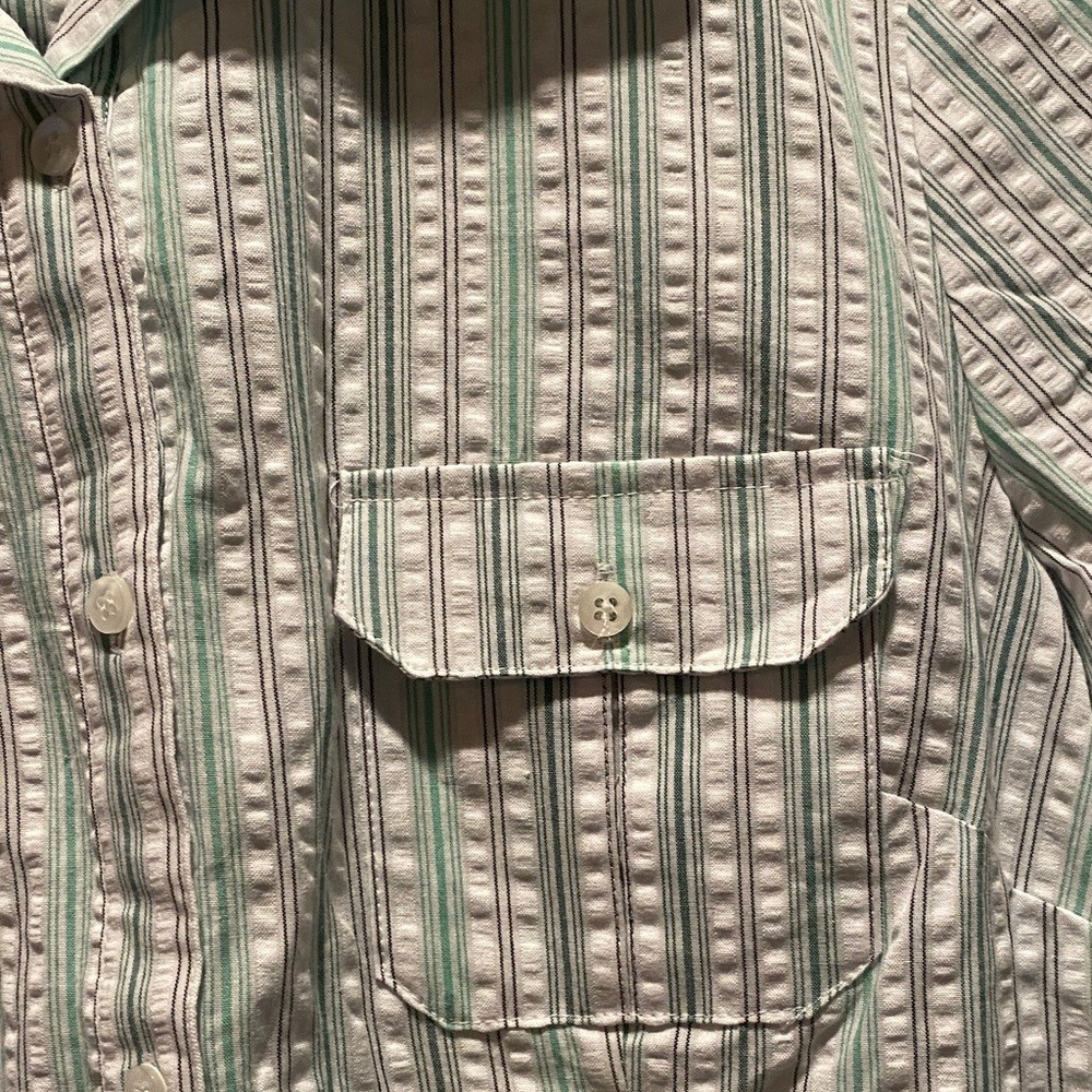 Croft & Barrow Mint Stripe Shirt Cotton Button Down Casual Work Top NWT L image 4