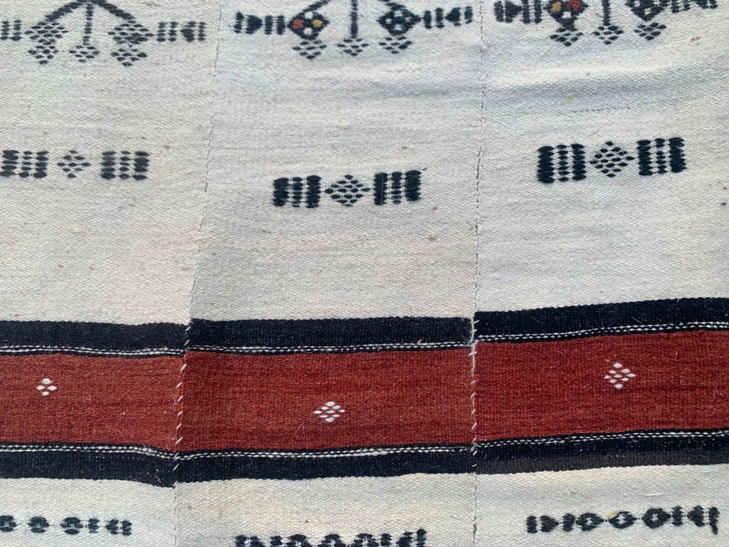 Picture 5 of 11