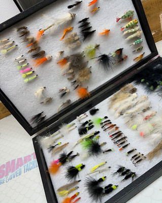 Game Trout Salmon Fly Fishing Box of 100 plus flies