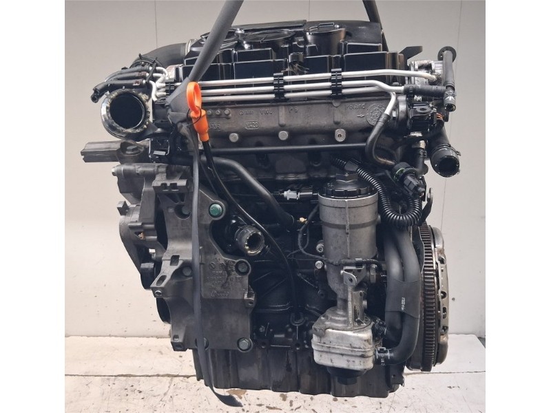 BLS MOTORE VOLKSWAGEN GOLF V (1K1) 1.9 TDI 8v MAN 6m 105CV 2006 5p BERL