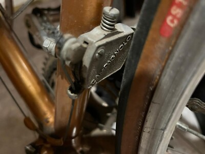 Vendo bicicletta vintage doniselli de womo