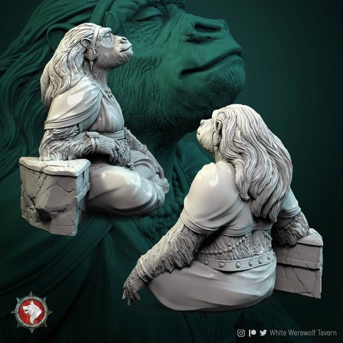 Monkey Kings Wife | TTRPG Miniatur | White Werewolf Tavern | unbemalt, unplate - Bild 3 von 10