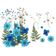 Echte gepresste Blumen, Dekoration, DIY-Zubeh&ouml;r f&uuml;r Hochzeitsschmuck, N&auml;gel,