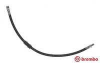 Brembo Bremsschlauch T 23 199 FüR Fiat Lancia Idea Ypsilon Musa 16V Multijet LPG
