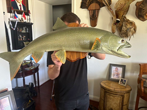 Northern Lake TroutFish Taxidermy Replica Wall Mount on Plaque 44 x 12 x 8 in