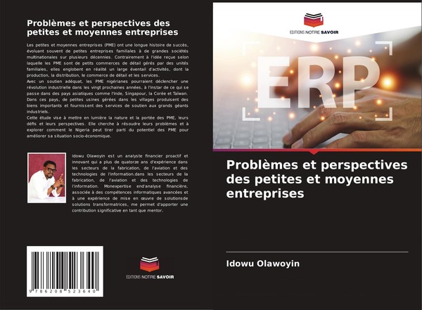 ProblèMes Et Perspectives Des Petites Et Moyennes Entreprises Idowu Olawoyin-image