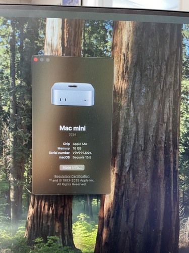 mac mini m4 16gb 256gb - Photo 5/10