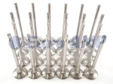 Audi A6 A7 Q7 Q8 S4 S5 SQ5 Intake & Exhaust Valves (24) 3.0 V6 TFSI EA839