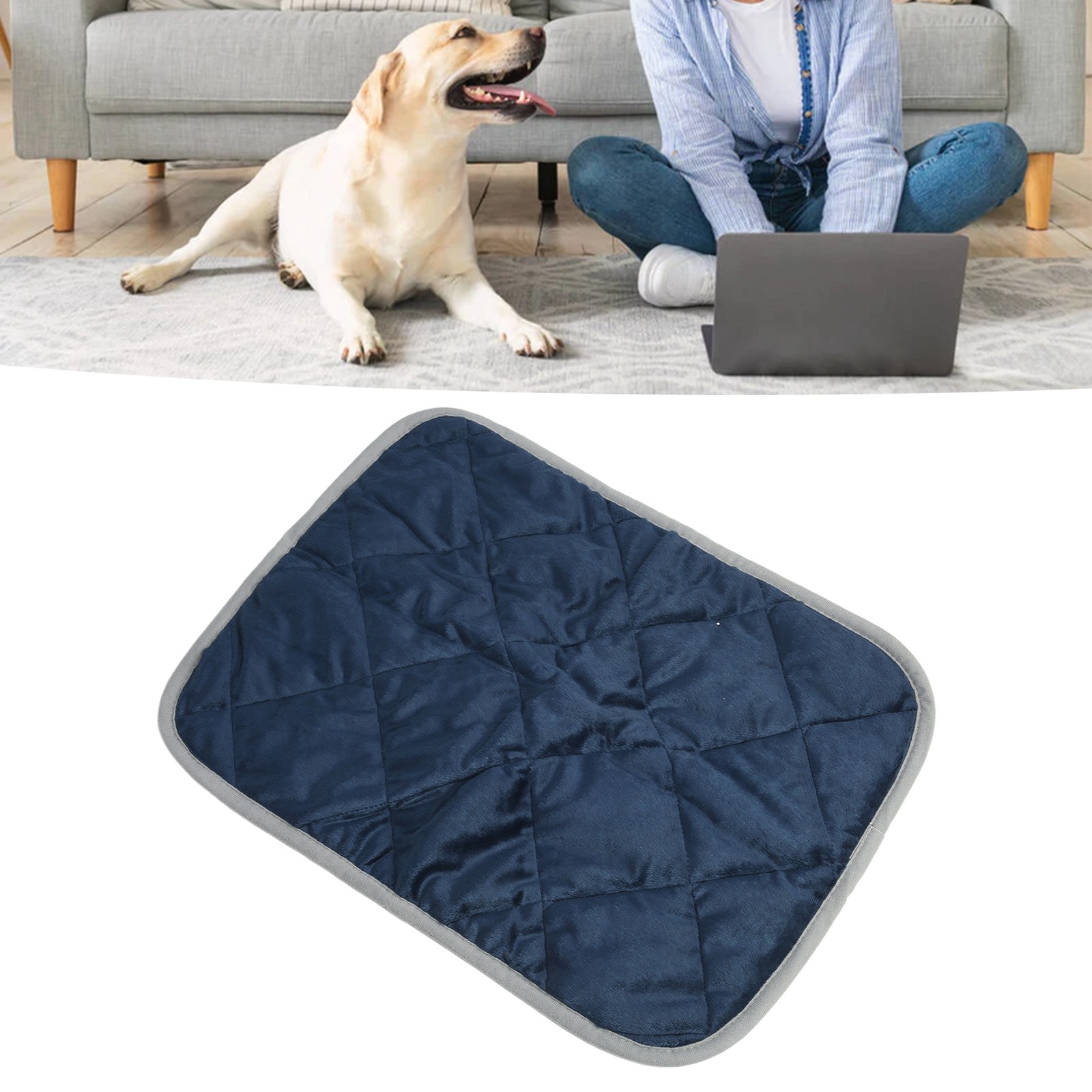 Warm Pet Heat Mat For Dogs And Cats Skidproof Cat Pad Recommended