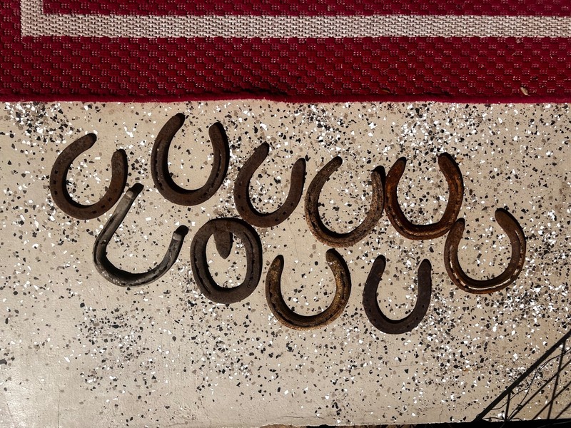 Used steel horseshoes qty 10 various styles and shapes and sizes rusty no nail