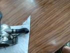 Foto 2 di 6