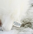 Foto 7 di 7