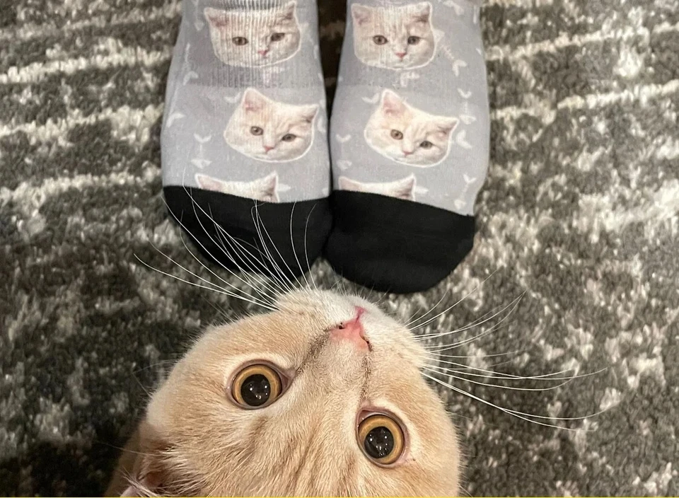 Calcetines personalizados para fotos de mascotas Calcetines personalizados para mascotas Calcetines personalizados para perros Calcetines personalizados para gatos Foto 4 de 4