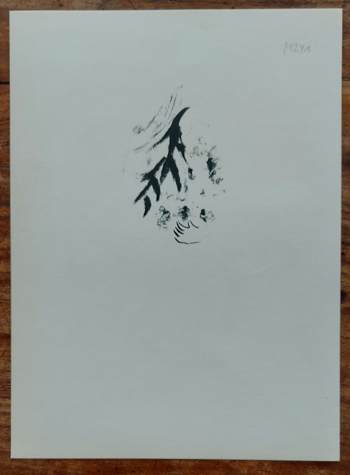 Bild 9 von 9