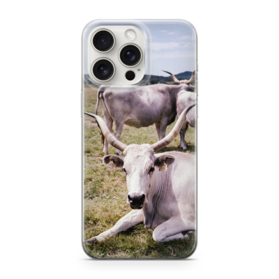 Handyhülle Texanische Kühe Texas USA 301 Schutz Bumper iphone 13 PRO