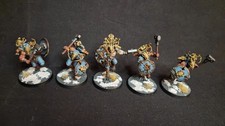 Space Wolves  Wulfen  Painted  Ready for Battle
