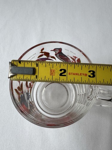 Arcoroc 1970s Vintage Bird Mug Glass 10oz Cardinal Blue Jay - Picture 9 of 9